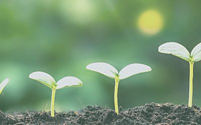 Webinar: Hoe kan lease uw salon helpen groeien?